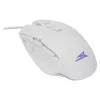 Pele Baracuda BGM-051 Raptor balta USB
