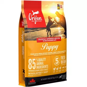 ORIJEN Puppy - sausā suņu barība - 6kg