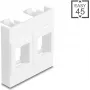 Sienas plates moduļa rāmis DELOCK Easy 45, 2x keystone turētāji, 45×45 mm