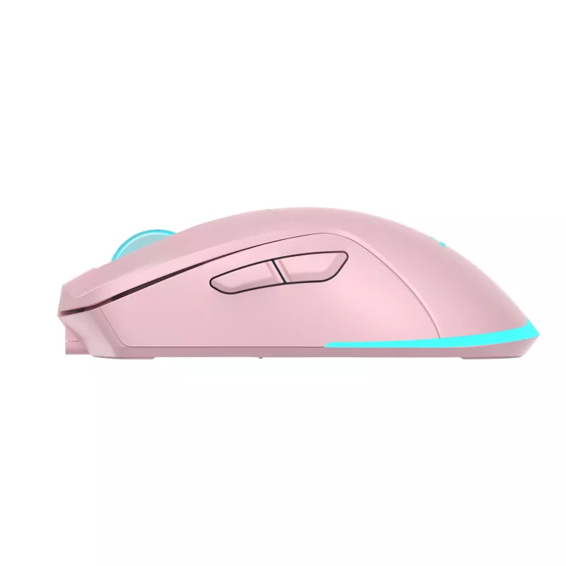Pele Baracuda BGM-124 Turtle Pink TURTLE-P