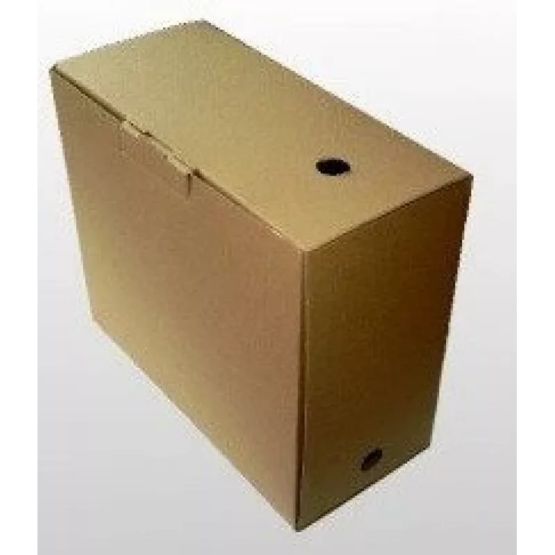 Arhīva kaste SMLT, 350x160x300mm, brūna
