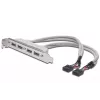 Slot Bracket kabelis USB 2.0 HighSpeed Type 2xIDC (5pin)/4xUSB A M/F pelēks 0,25m