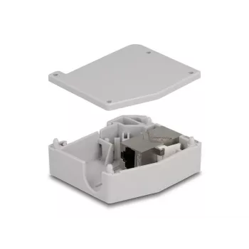 DeLOCK DIN sliedes adapteris RJ45 ligzda uz RJ45 ligzdu Cat.6A pelēks