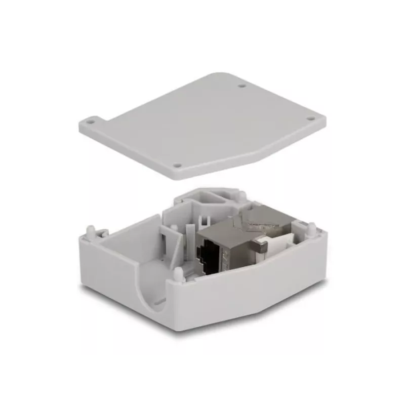 DeLOCK DIN sliedes adapteris RJ45 ligzda uz RJ45 ligzdu Cat.6A pelēks
