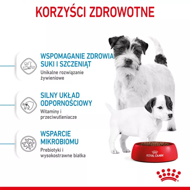 Sausā suņu barība Royal Canin Starter Mother & Babydog 1 kg — vistas garša, 30% olbaltumvielu, 22% tauku