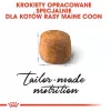 Sausā kaķu barība Royal Canin Maine Coon Adult 10 kg — mājputnu gaļa (vista), 31% olbaltumvielu, 20% tauku