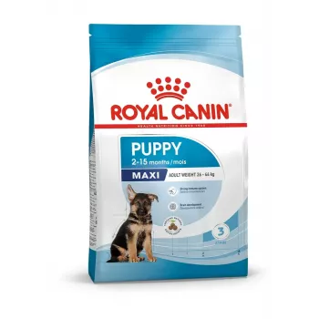 Sausā suņu barība Royal Canin Maxi Puppy 15 kg — lielo šķirņu kucēniem, vista, 30% olbaltumvielu, 16% tauku