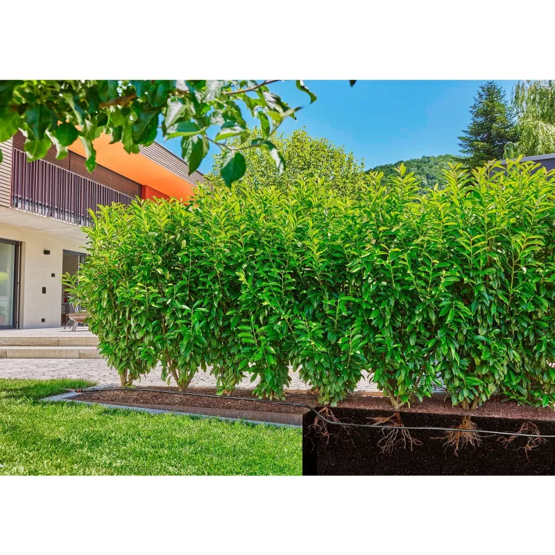 Gardena 13504-20 dārza šļūtene 50 m pazemē Melna