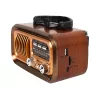 Pārnēsājams analogais AM/FM radio RA16 saules