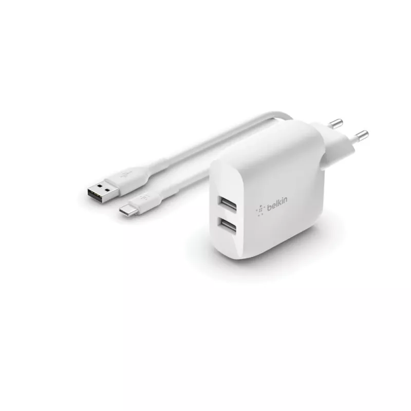 Mobilās ierīces lādētājs Belkin WCE001VF1MWH