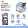 Slapjie kaķu našķi INABA Juicy Bites ar vistu un tunci, 3 × 11 g maisiņi, bez graudiem, olbaltumvielas 24%, mitrums 71%