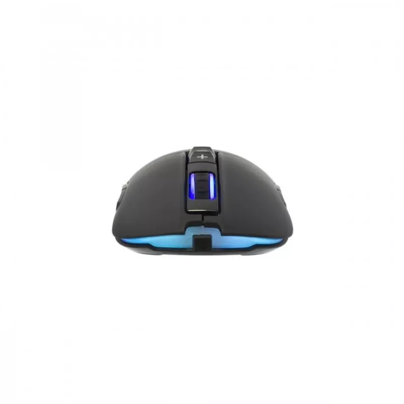 Pele White Shark ARTHUR USB Type-A