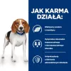 HILL'S Canine r/d 4 kg