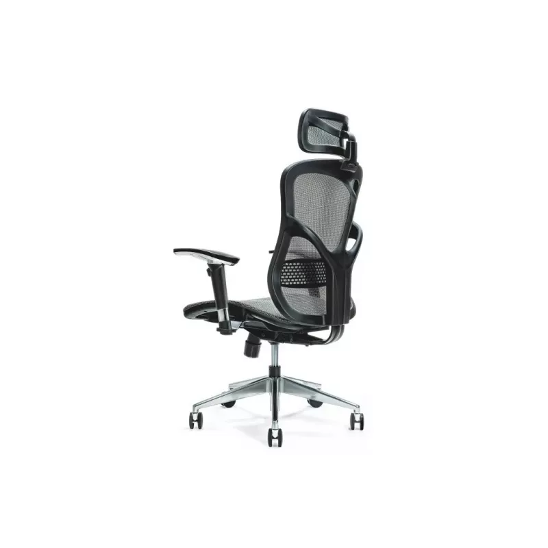 Ergonomisks biroja krēsls ERGO 500 pelēks