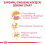 Sausā kaķu barība Royal Canin Maine Coon Kitten 2 kg — mājputnu gaļa, olbaltumvielas 36%, tauki 23%