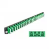 Splice Box Front Panel DeLOCK 19 inch 43370 24 port LC Quad zaļa