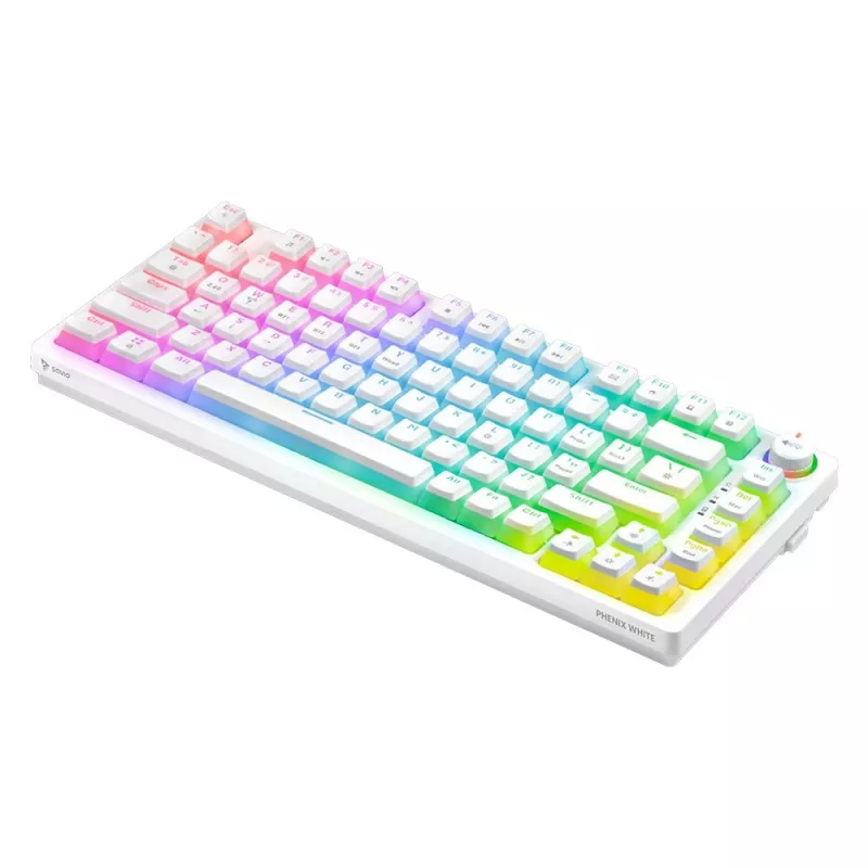 MEHĀNISKĀ TASTATŪRA SAVIO