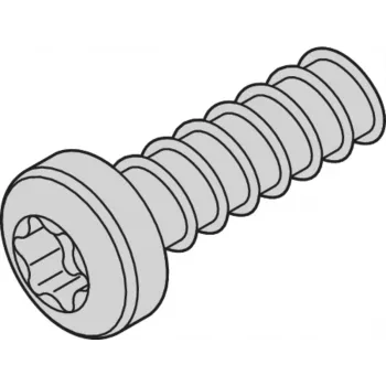 SCHROFF TORX SKRŪVE 2,5X7,3 (100 GAB.) - Plauktu piederumi (24560157)