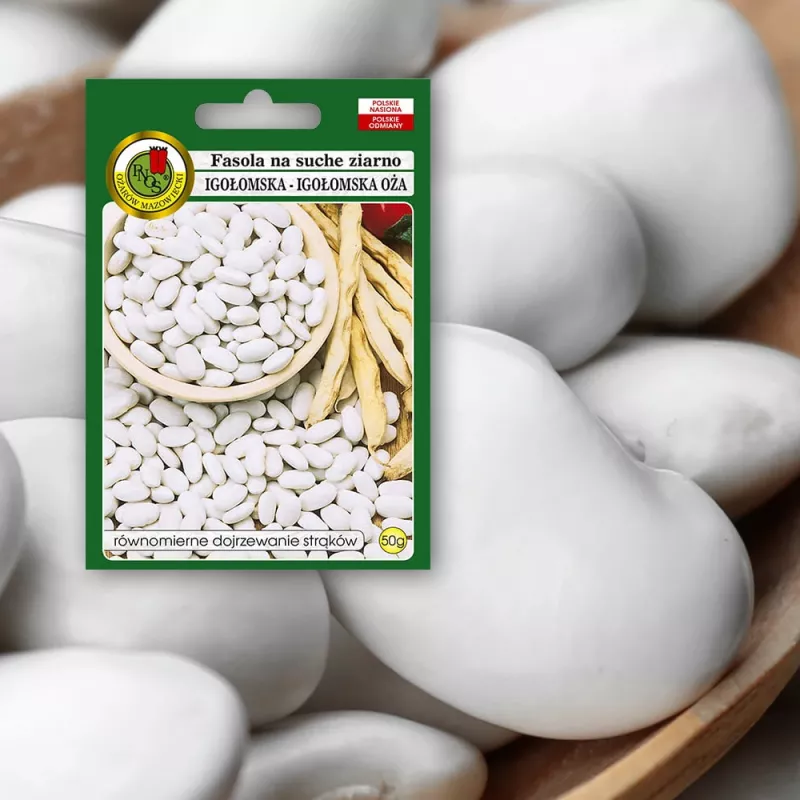 Sēklu paciņa Seklos LT PNOS — sausās pupiņas 'Igłomska' sēklas, 50 g