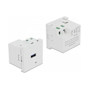Strāvas kontaktligzda USB-A DELOCK 81311, balta, 100–240V, 0.5A, LED strāvas indikators, plastmasas korpuss