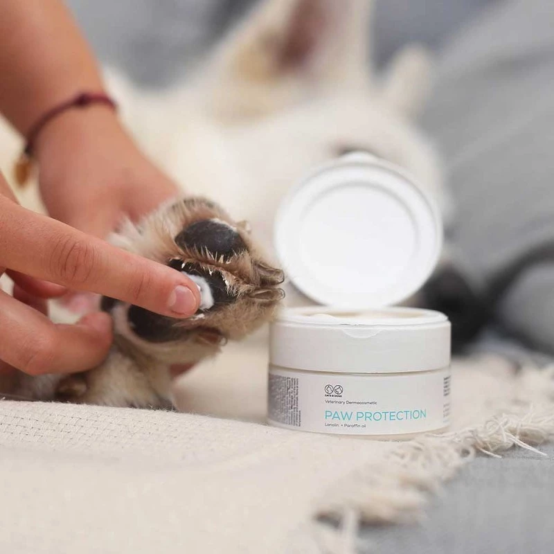 Ziede VETEXPERT Paw Protection 75 ml — ķepu kopšana suņiem un kaķiem, piemērota visu šķirņu un vecumu dzīvniekiem