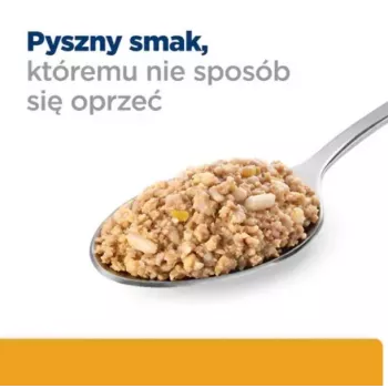 HILL'S PD Canine Urinary Care C/D - mitrā suņu barība - 370g