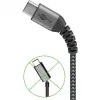 Wentronic 49296 USB kabelis melns