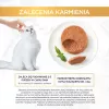 Mitrā kaķu barība multipaka Purina Nestlé Gourmet Gold Mus Mix 48×85 g kārbas dažādās garšās
