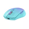 Bezvadu pele Tellur Silent Click TLL491331 USB