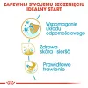 Royal Canin Golden Retriever Puppy sausā barība suņiem, 12 kg
