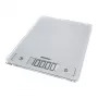 Leifheit 61504 Sudraba