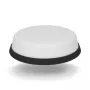 Panorama Ultra Low Profile WiFi 5G antena LPM2W-24-72-2RPSP