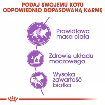 Sausā kaķu barība Royal Canin Sterilised 2 kg — sterilizētiem kaķiem, vista, 37% proteīns