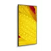 NEC MultiSync M651-2 Kioska dizains 165,1 cm (65 collas) LED 500 cd/m² 4K Ultra HD Melns Iebūvēts procesors