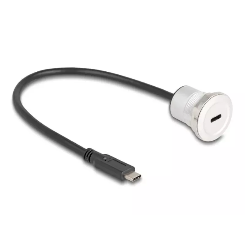 USB kabelis DeLOCK 88183 0,3 m USB C Melns Sudrabains