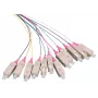 LOGON LFP035 InfiniBand/šķiedras optikas kabelis 2 m 12x SC daudzkrāsains (LFP035)