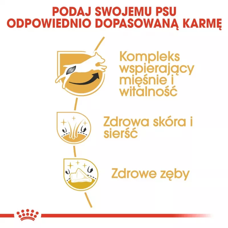 ROYAL CANIN Jack Russell Adult sausā suņu barība - 1.5 kg