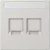 Jung LS1969-2NAWELG Cover Plate f.MJ 2f NA WE (AMP Rad.) (LS1969-2NAWELG)