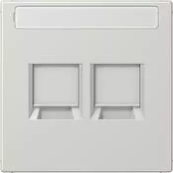 Jung LS1969-2NAWELG Cover Plate f.MJ 2f NA WE (AMP Rad.) (LS1969-2NAWELG)