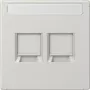 Jung LS1969-2NAWELG Cover Plate f.MJ 2f NA WE (AMP Rad.) (LS1969-2NAWELG)