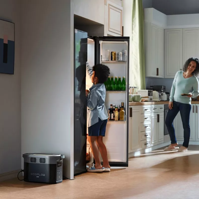 EcoFlow DELTA 2 Max pārnēsājama elektrostacija litija dzelzs fosfāta (LiFePO4) 2400 W 23 kg