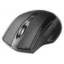 Tracer 47432 Bezvadu Optiskā Pele RF 2,4 GHz / BT, Melna