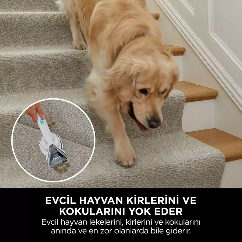Sharkclean PX200EUT paklāju tīrīšanas mašīna, rokas, dziļā/starptīrīšana, balta