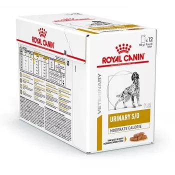 Mitrā suņu barība Royal Canin Urinary S/O Moderate Calorie paciņas 12 x 100 g, pieaugušiem suņiem, 80% mitrums, 8% olbaltumvielas