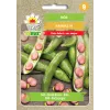 Crimson Bean Toraf dārzeņu sēklas, 30 g iepakojums