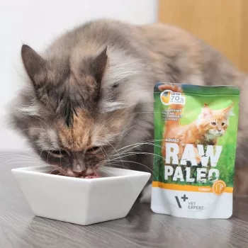 Mitrā kaķu barība VETEXPERT Raw Paleo Adult Cat Turkey 100 g — bezgraudu, 10,3% olbaltumvielu, 5,3% tauku, 79% mitruma