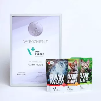RAW PALEO Adult Cat Beef - mitrā kaķu barība - 100 g