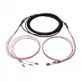 Synergy 21 LWL-kabelis Trunk kabelis U-DQ ZN BH 4G 50/125 LC/LC OM4 40m Ring - Kabelis - Daudzmodu šķiedra