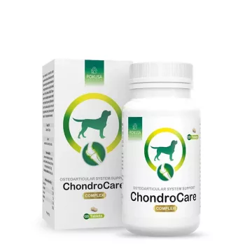POKUSA ChondroCare Complex - uztura bagātinātāji suņiem - 120 gab.