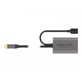 Delock USB-20225 barošanas adapteris pelēks